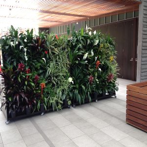 Green Wall Systems