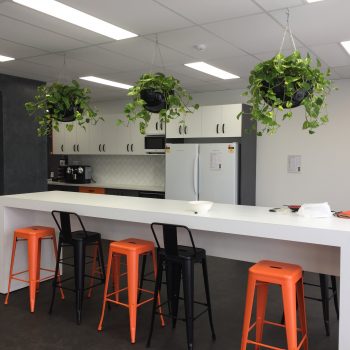indoor plant hire sunshine coast - buy office plants