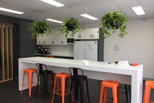 indoor plant hire sunshine coast - buy office plants