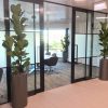 office plants sunshine coast - corporate plant hire
